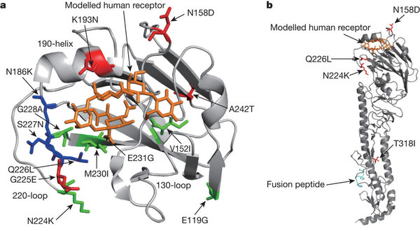 Figure 1a and 1b